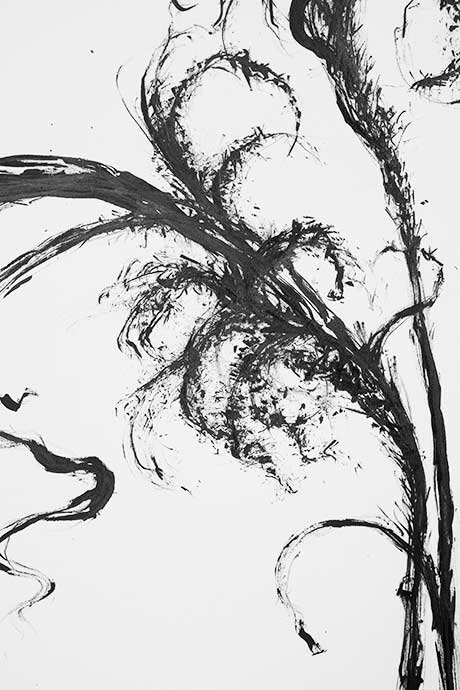 detail of ink drawing of plant stems