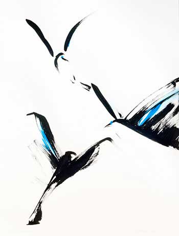 black birds flying